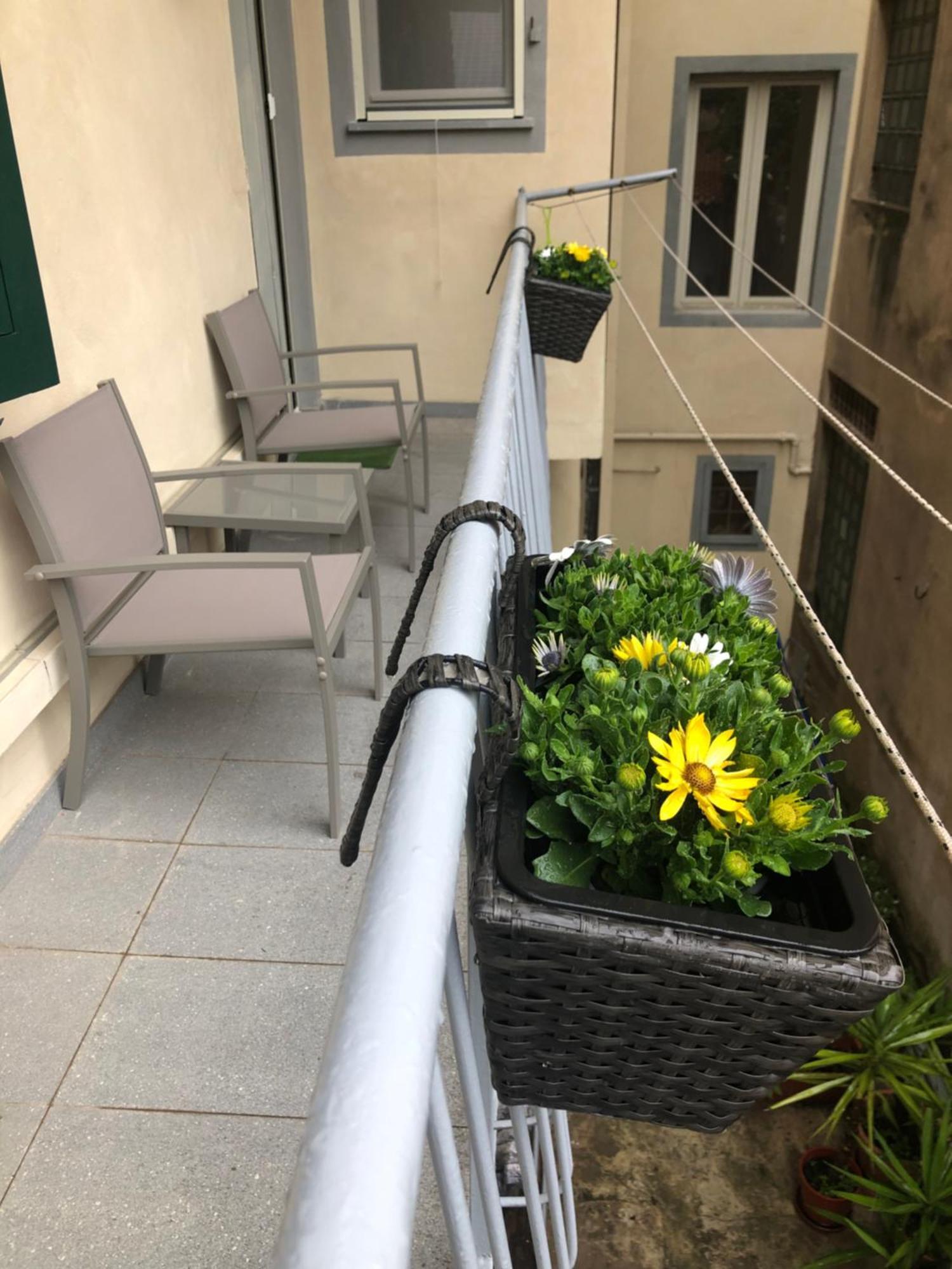 Sonnino House Apartment Pisa Bagian luar foto