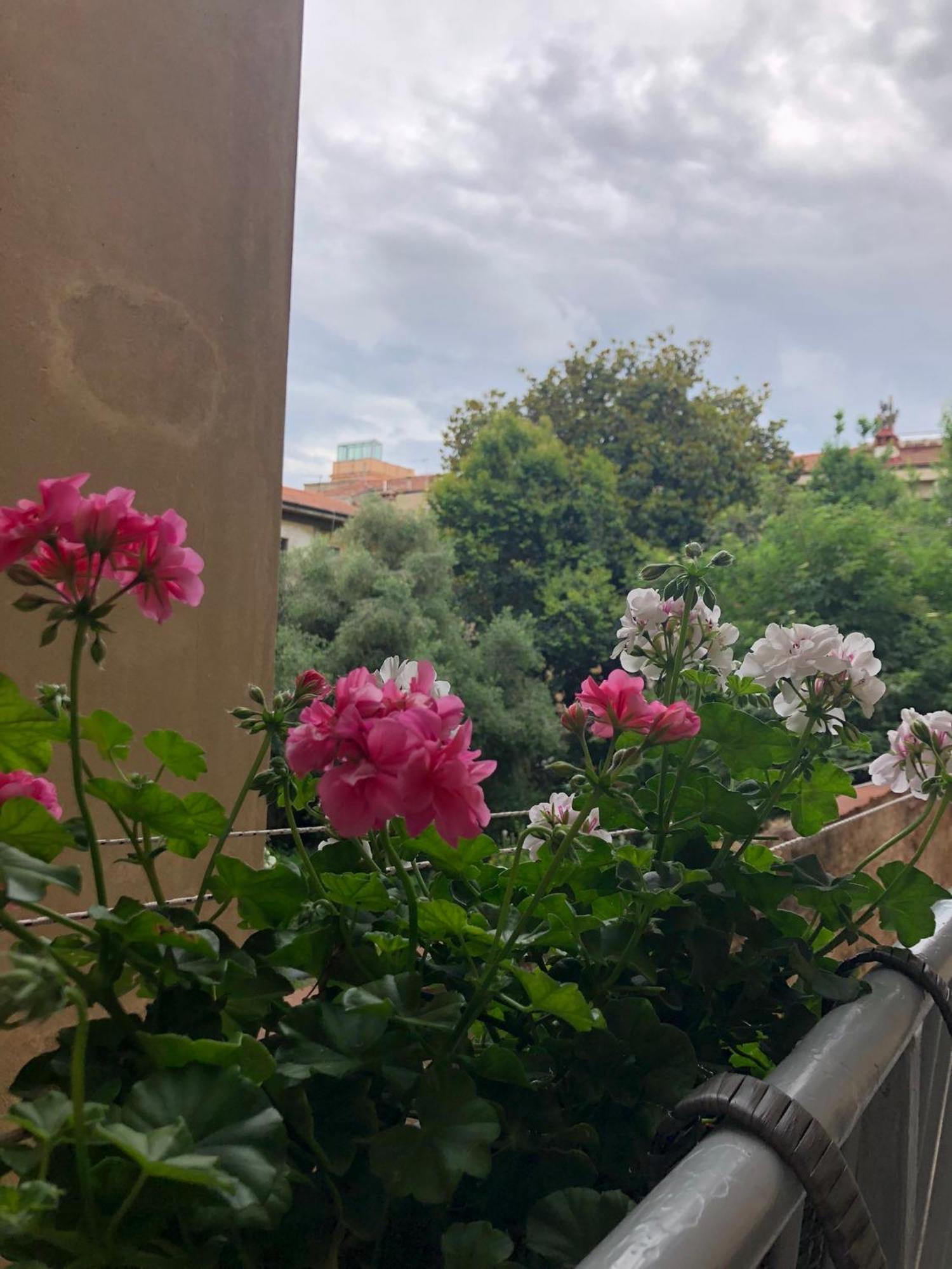Sonnino House Apartment Pisa Bagian luar foto