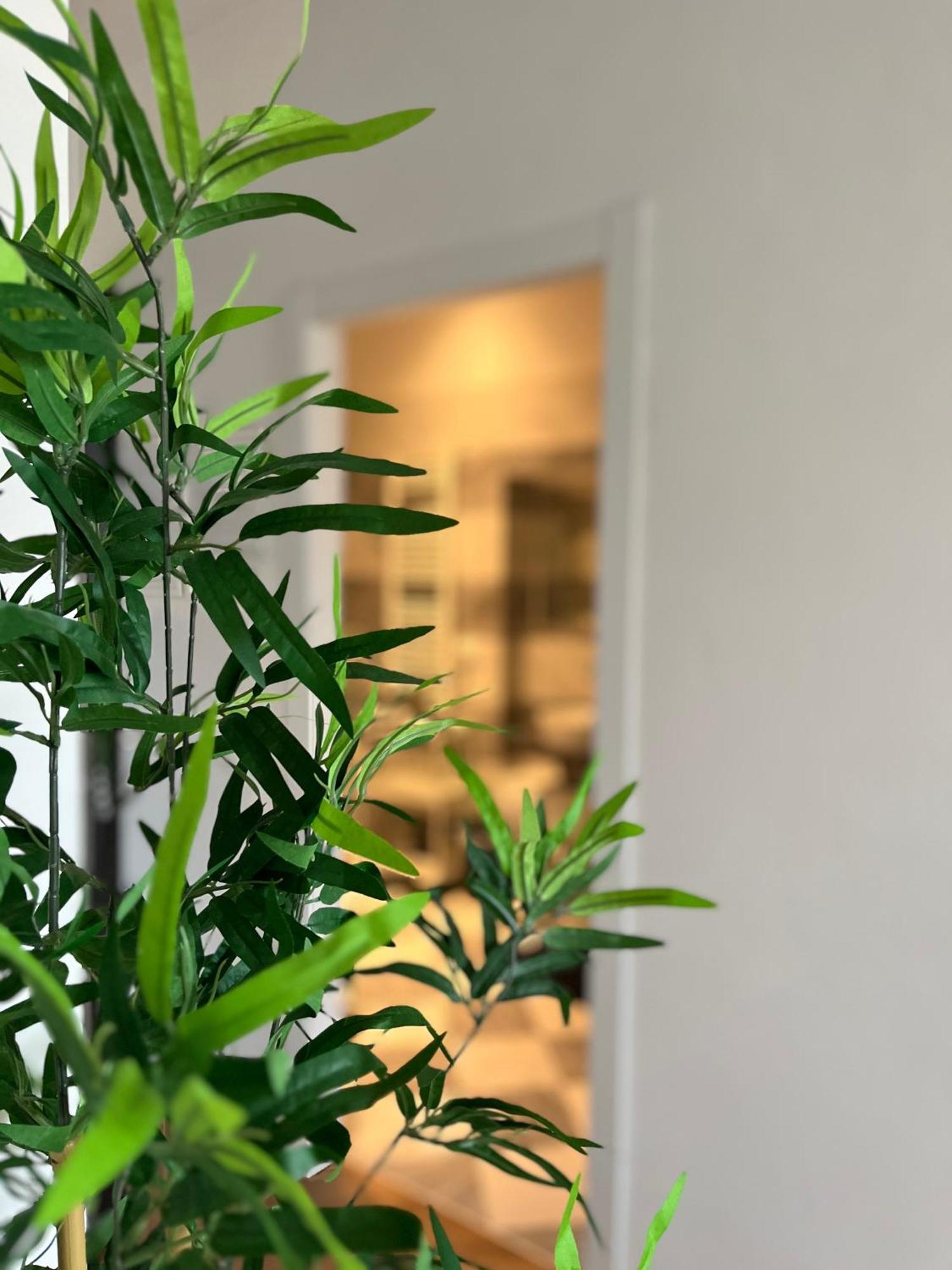 Sonnino House Apartment Pisa Bagian luar foto